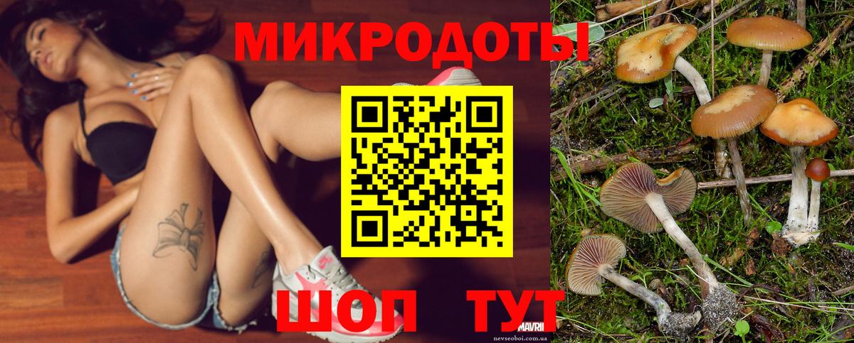 Псилоцибиновые грибы мицелий Междуреченск
