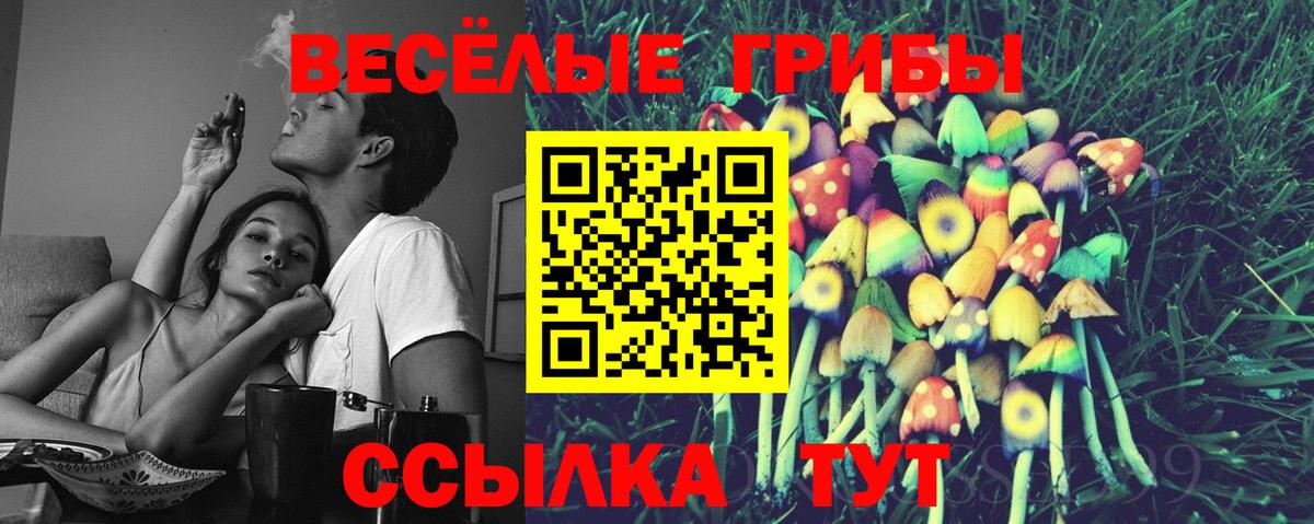 Псилоцибиновые грибы GOLDEN TEACHER  Псилоцибиновые грибы мицелий  Междуреченск  Вход с VPN 